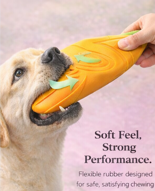 Bite Resistant Flying Disc Toy