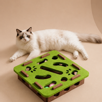 Pet Cat Puzzle Maze