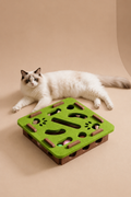 Pet Cat Puzzle Maze