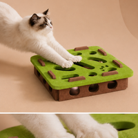Pet Cat Puzzle Maze