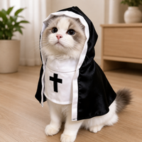 Funny Halloween Nun Costume