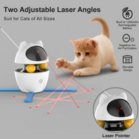 3 in 1 Cat Toys Indoor Electric Interactive Toys
