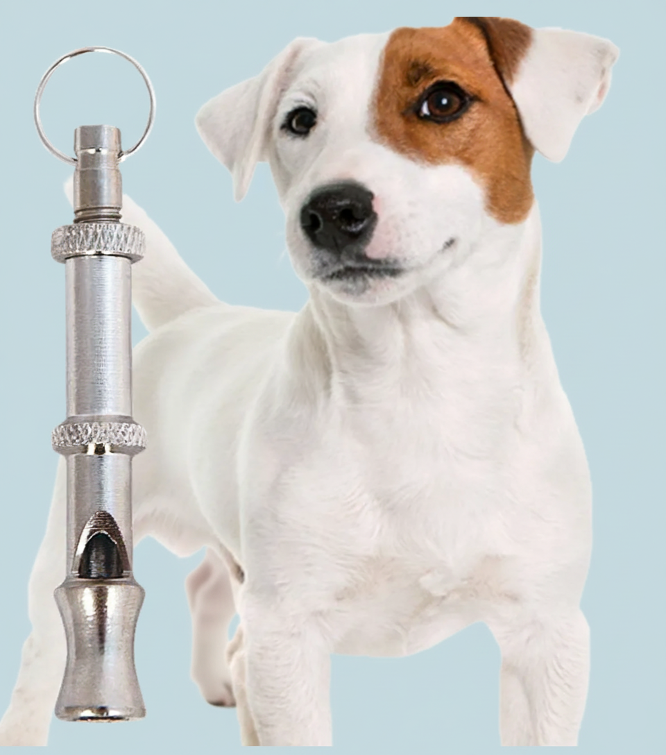 Ultrasonic Dog Whistle