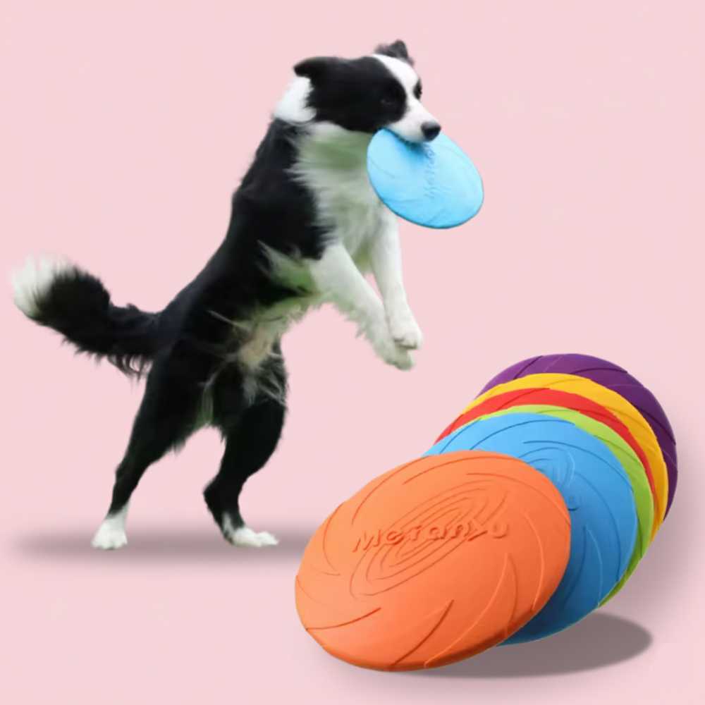 Bite Resistant Flying Disc Toy