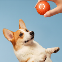 Automatic Moving Dog Toy Ball