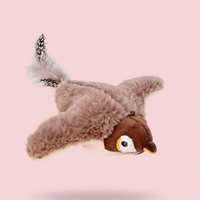 Bird Cat Toy
