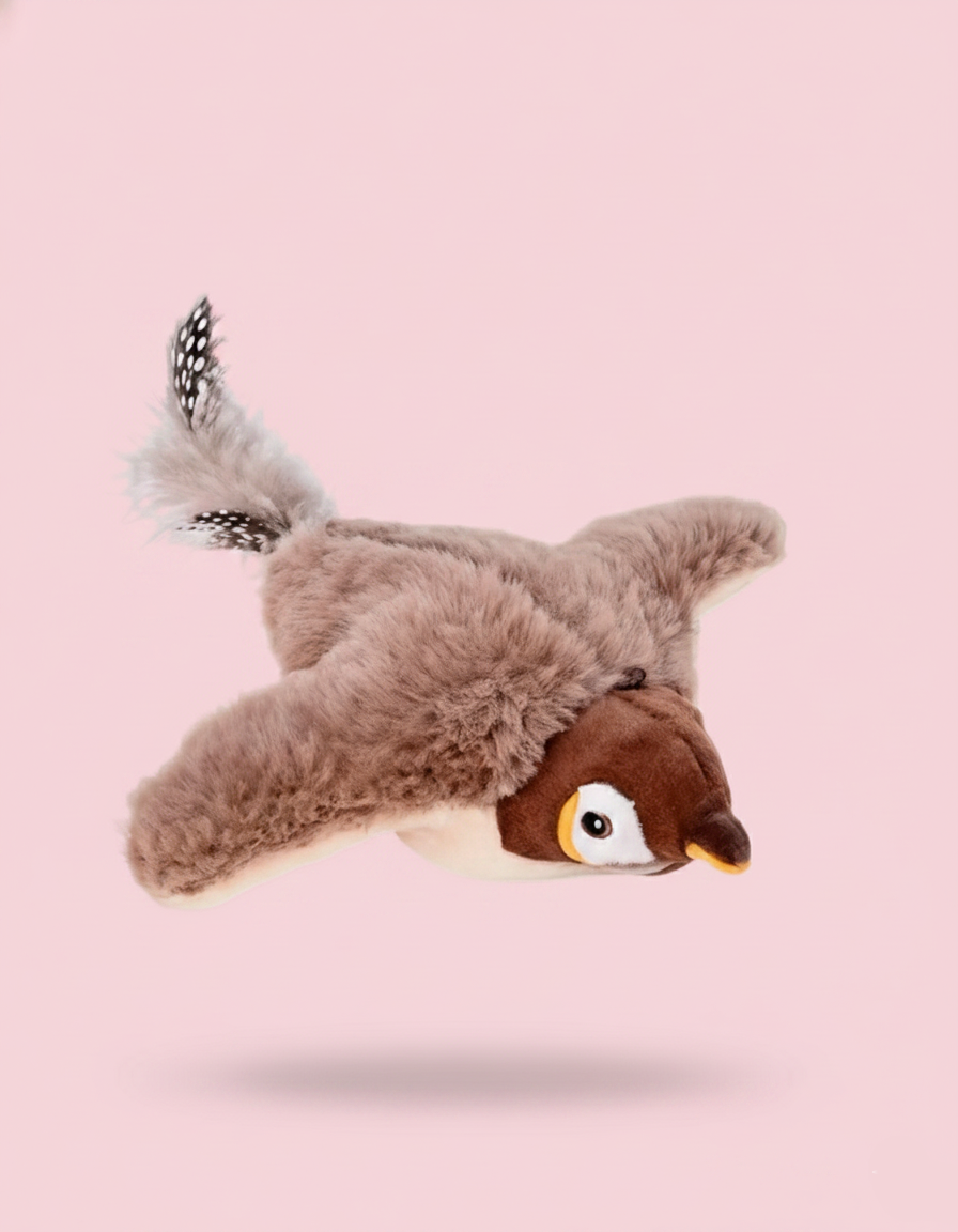 Bird Cat Toy