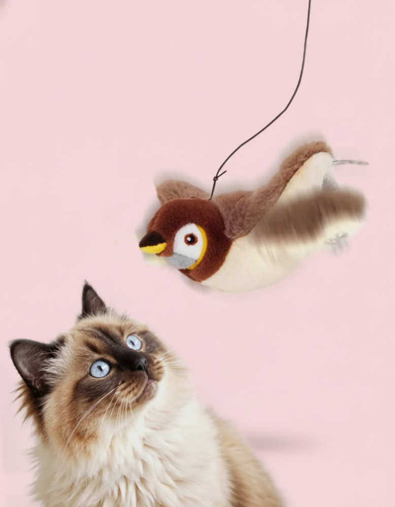 Bird Cat Toy