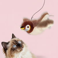 Bird Cat Toy