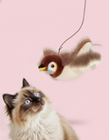 Bird Cat Toy