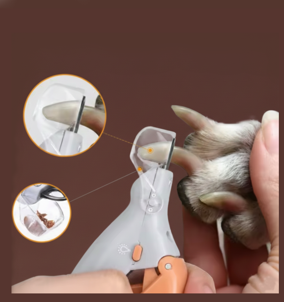 Pet cat and dog nail clippers with LED light