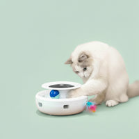 2 in 1 Smart Cat Toys
