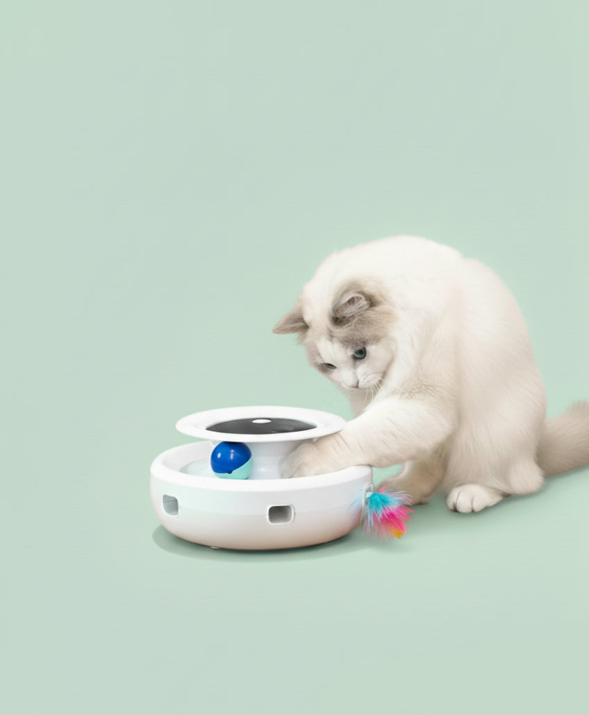 2 in 1 Smart Cat Toys