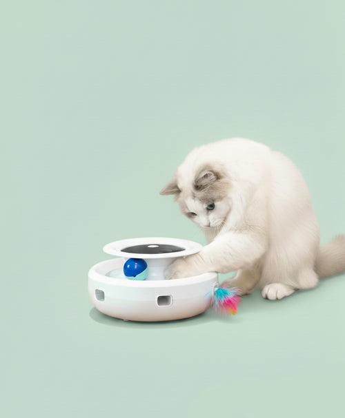2 in 1 Smart Cat Toys
