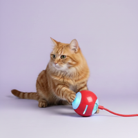 Cat Interactive Ball Toy