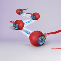 Cat Interactive Ball Toy