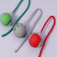 Cat Interactive Ball Toy