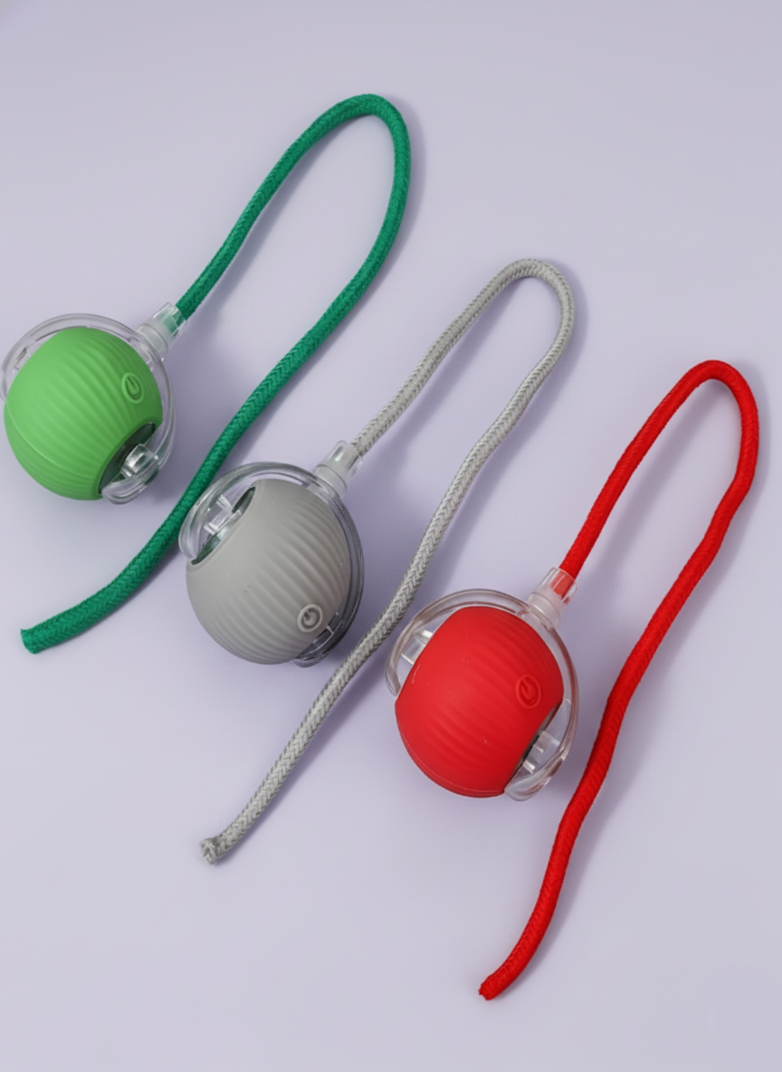 Cat Interactive Ball Toy