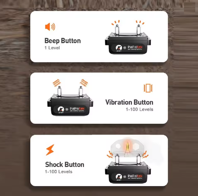 Dog Training & Anti-Bark Remote Collar