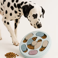 Slow Feeder Dog Bowl – Interactive Feeding Toy