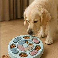 Slow Feeder Dog Bowl – Interactive Feeding Toy