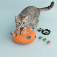 Interactive Cat Toys