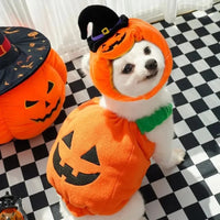 Halloween Pumpkin Costume for Dogs