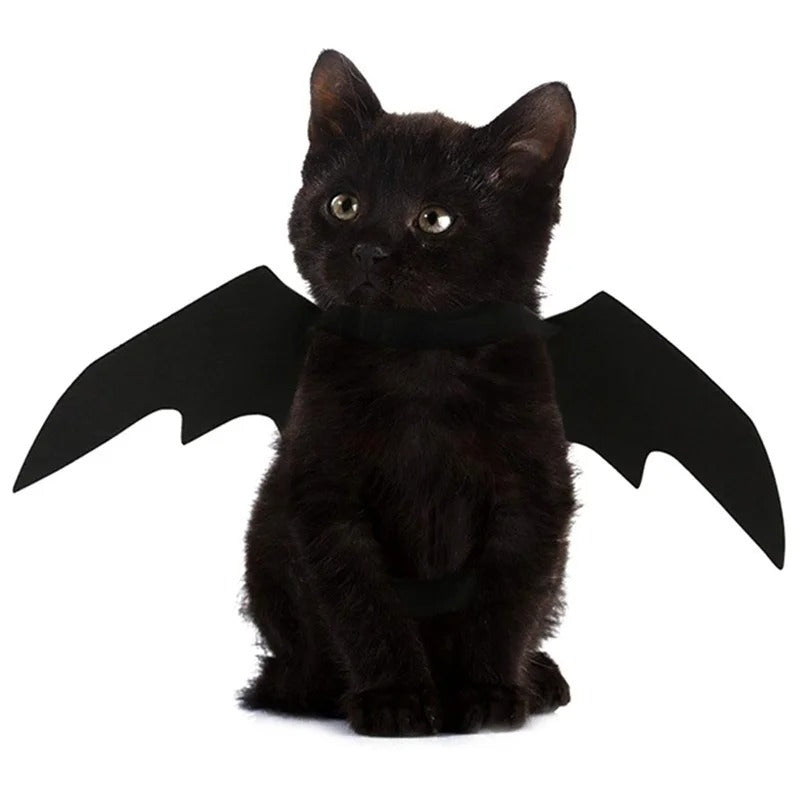 Halloween Bat Wings Harness