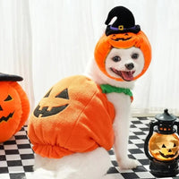 Halloween Pumpkin Costume for Dogs