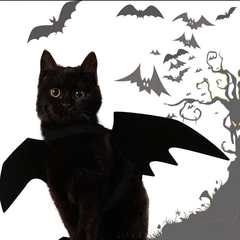 Halloween Bat Wings Harness