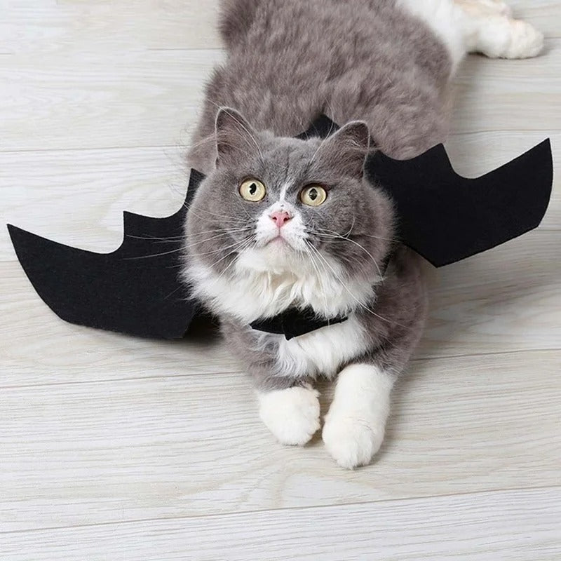 Halloween Bat Wings Harness