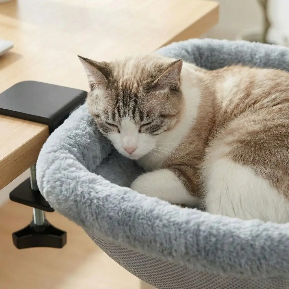 Space-Saving Desk Cat Hammock & Semi-Circular Window Bed