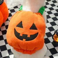 Halloween Pumpkin Costume for Dogs