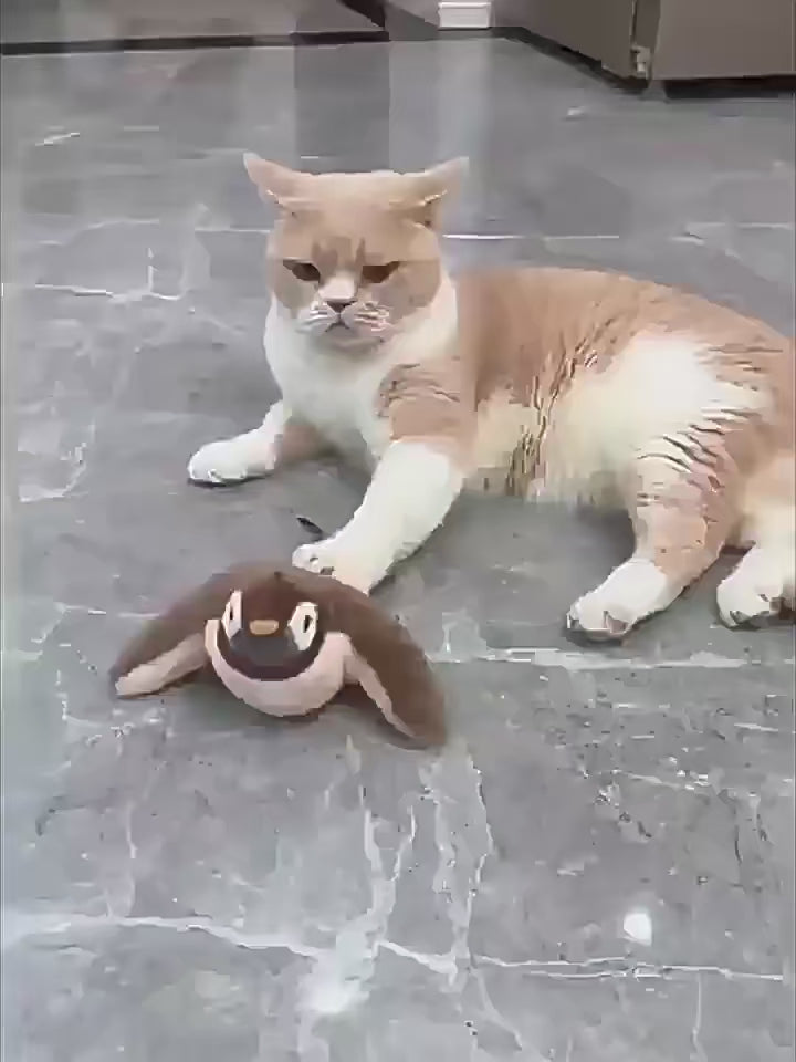 Bird Cat Toy
