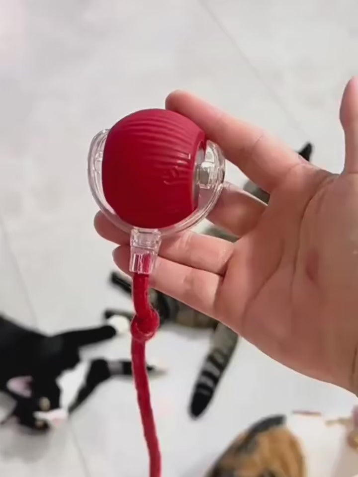 Cat Interactive Ball Toy