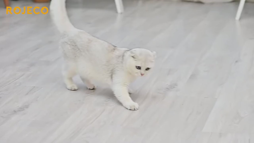Automatic Cat Toys Interactive Smart Teasing Pet LED Laser Indoor