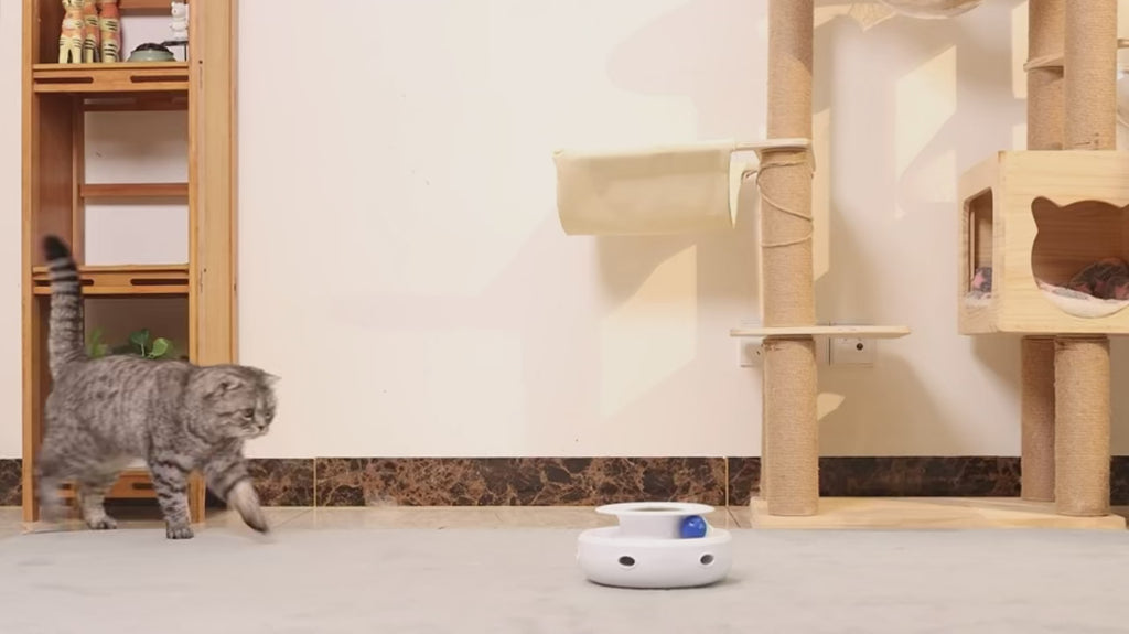 2 in 1 Smart Cat Toys