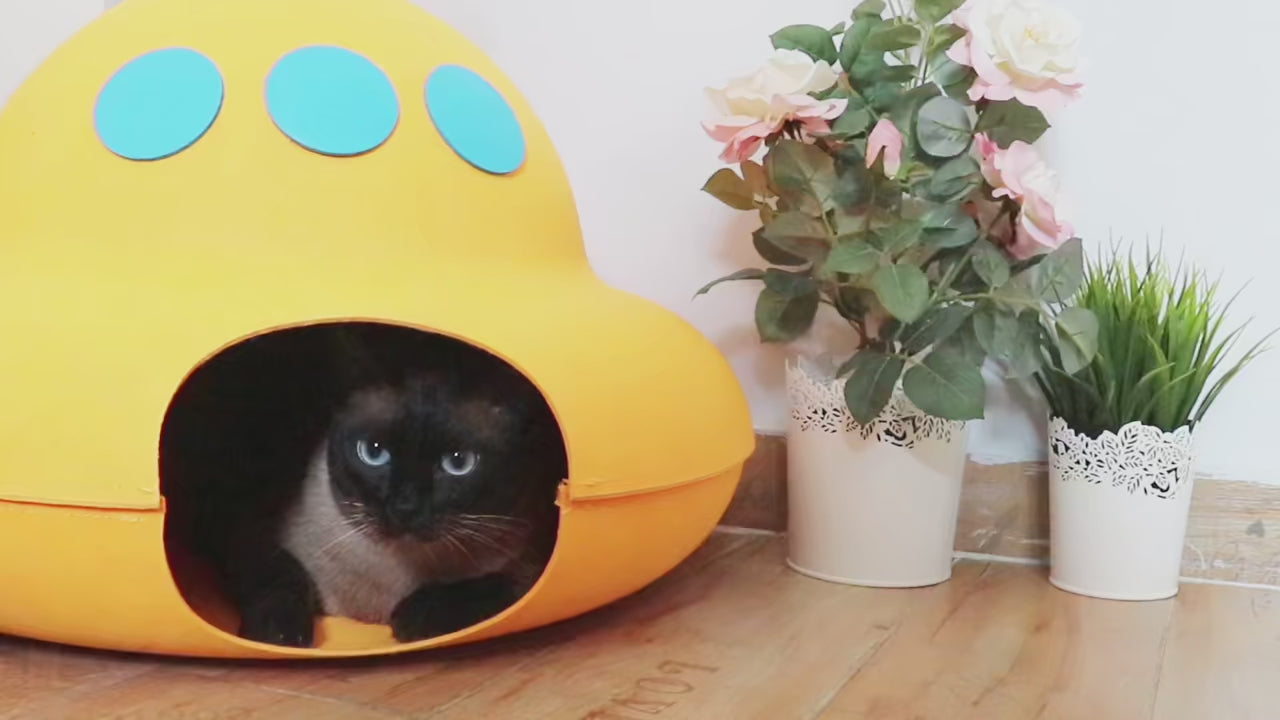 Interactive Cat Toys