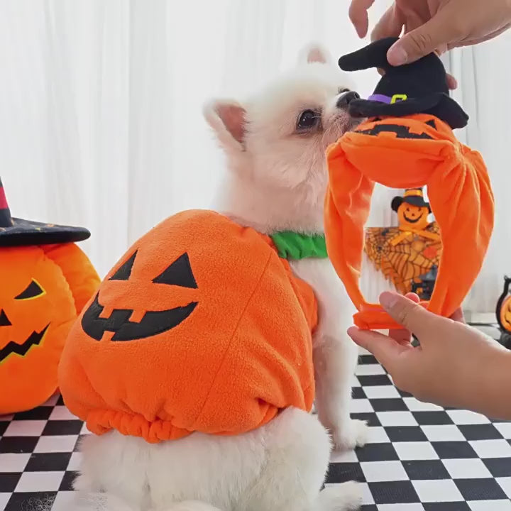 Halloween Pumpkin Costume for Dogs
