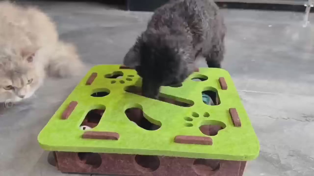 Pet Cat Puzzle Maze